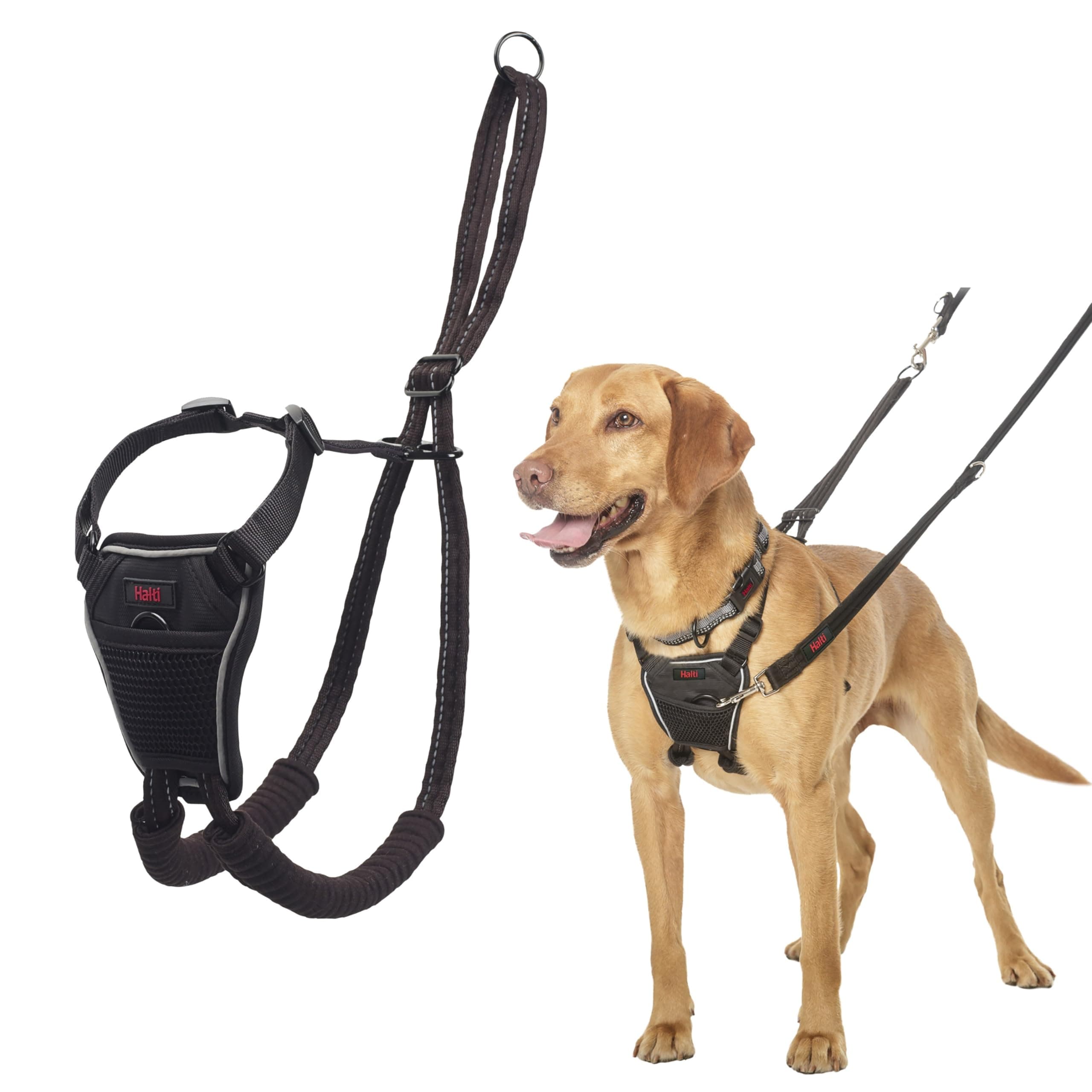 Adjustable Body Harness