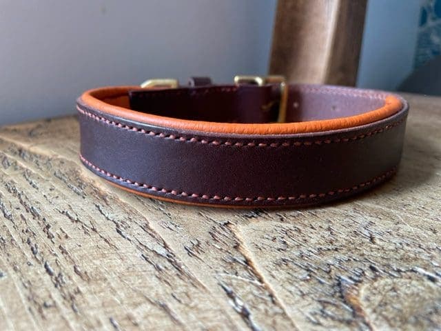 Padded Leather Training Collar