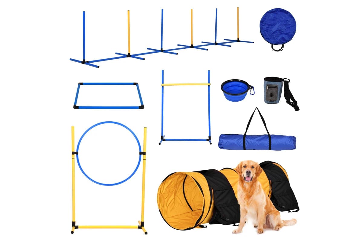 Agility Tunnel & Hurdle Set