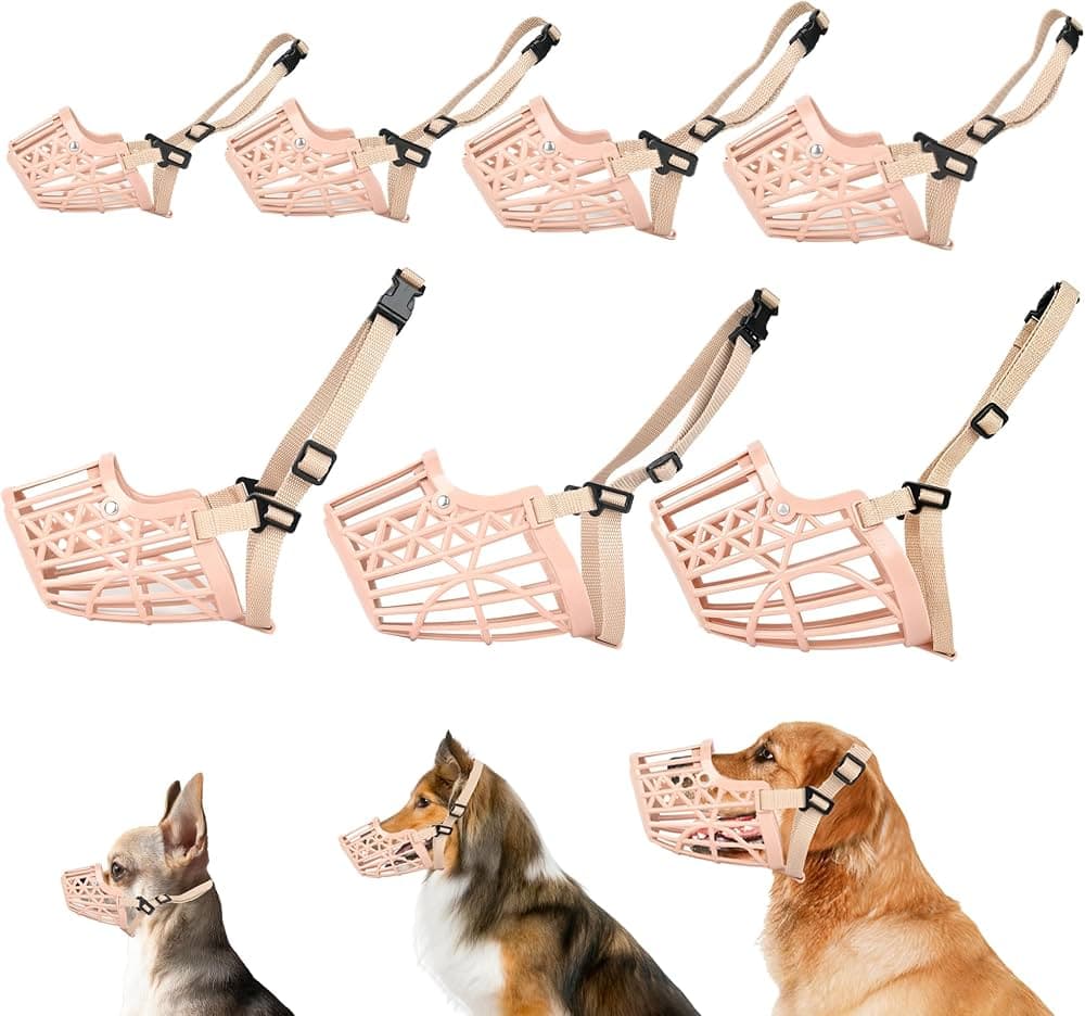 Muzzle Training Set