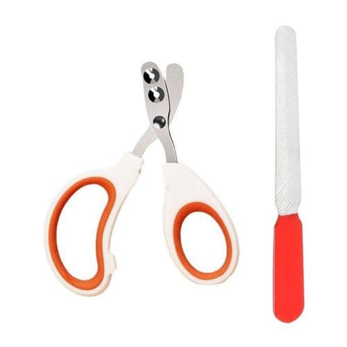 Nail Clipper & File Set
